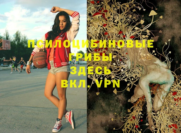 первитин Богородицк