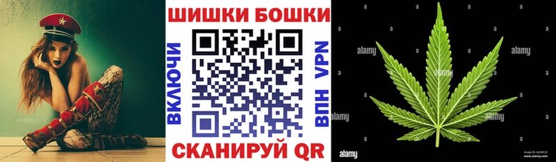 магазин    Донской  Бошки Шишки гибрид 